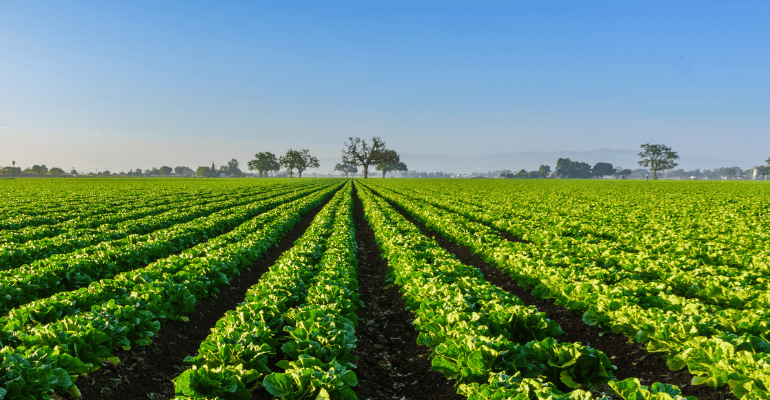 Healthy soil, Healthy crops